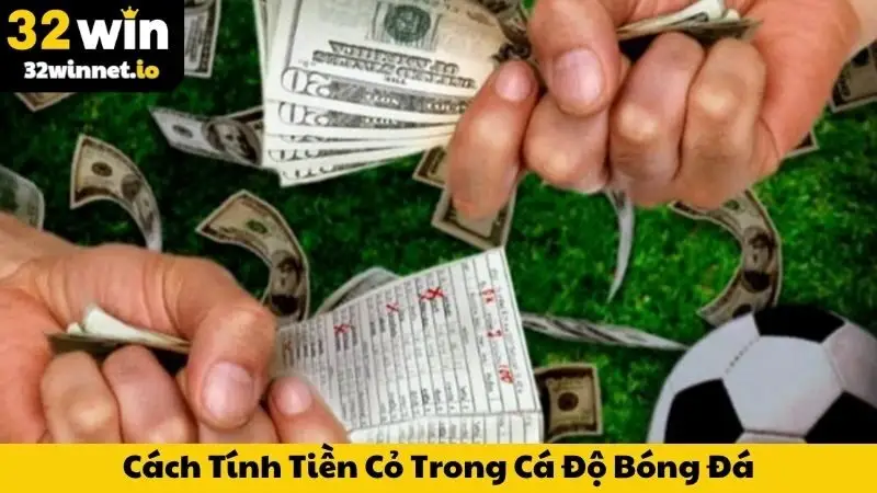 Cách Tính Tiền Cỏ Trong Cá Độ Bóng Đá Mới Cập Nhật